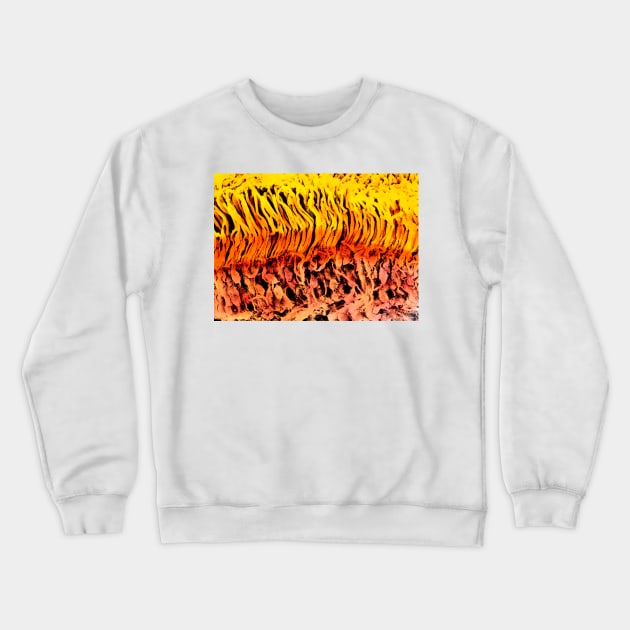 Coloured SEM of a section through the human retina (P424/0098) Crewneck Sweatshirt by SciencePhoto